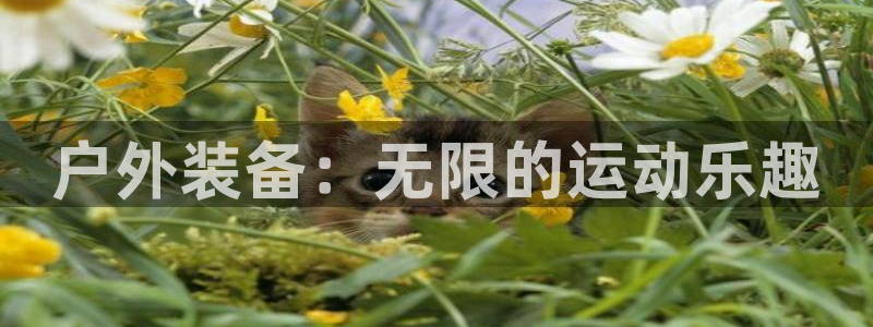 新宝GG网页