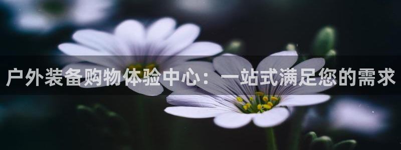新宝gg线长