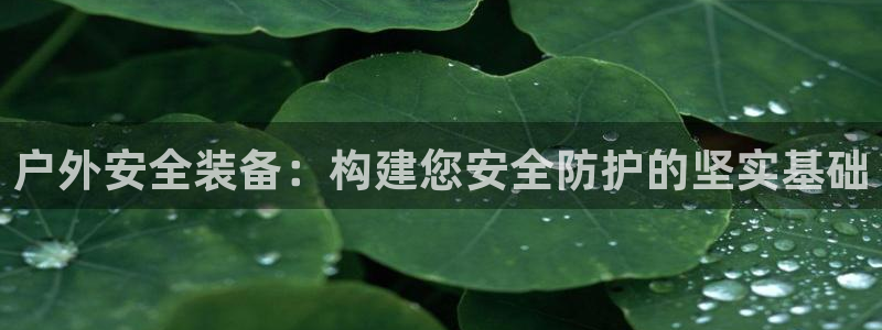 新宝测速gg