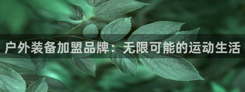 新宝gg如何代理