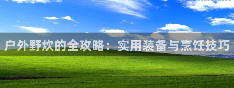 新宝gg招商致胜团队