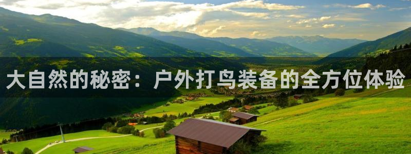 怎么代理新宝gg