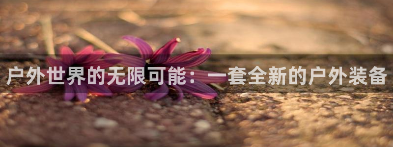 宝新gg