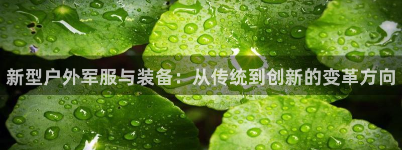 新宝GG玩家