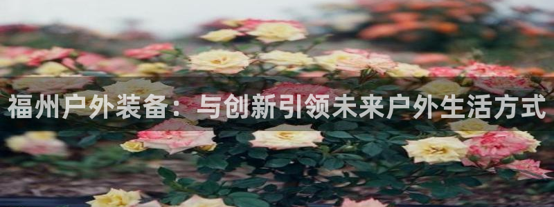 新宝gg首页平台