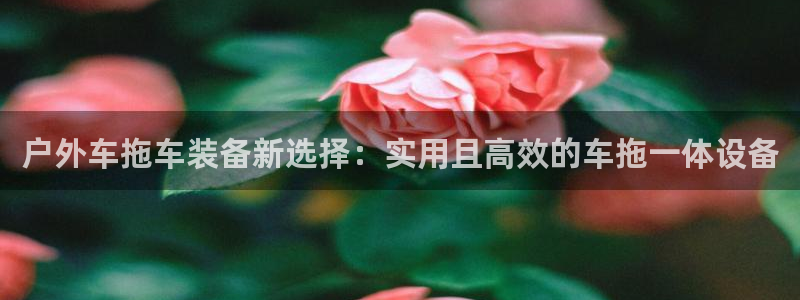 新宝gg 1980