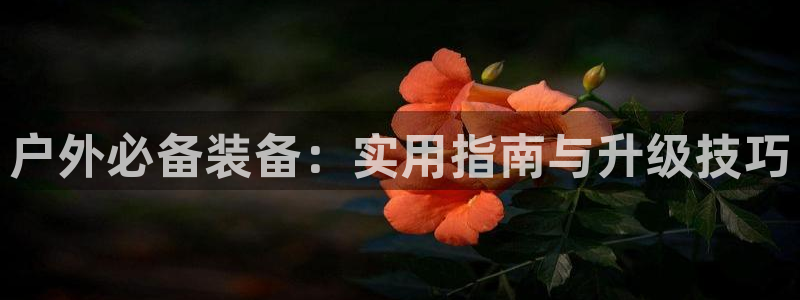 新宝gg平台怎么样