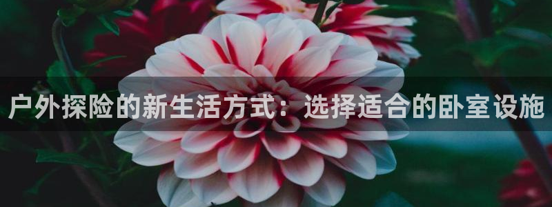 新宝GG无法充值