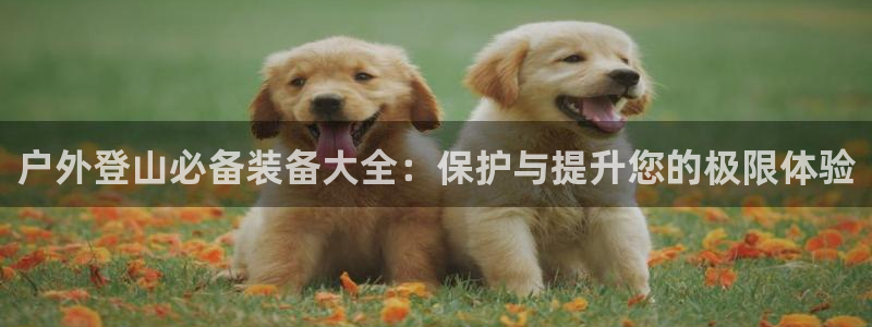 新宝gg主管111