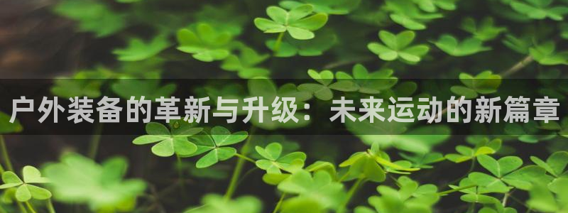 新宝gg平台