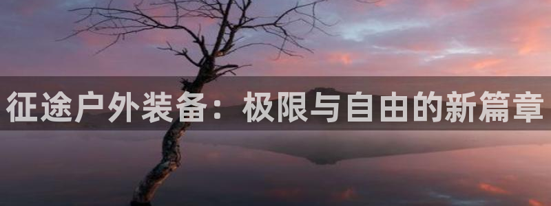 新宝gg登