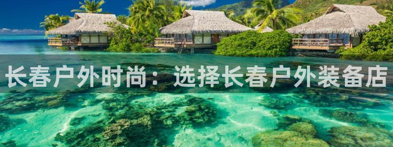 新宝gg群