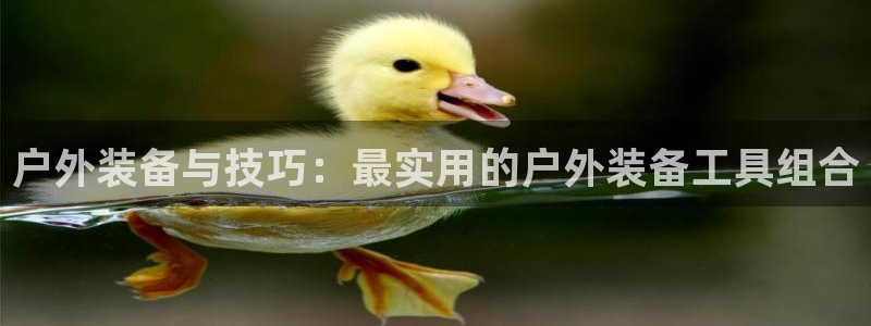 新宝GG娱乐-上皇巢网