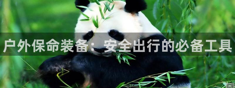 新宝gg返点