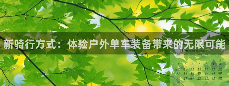 新宝奇迹GG
