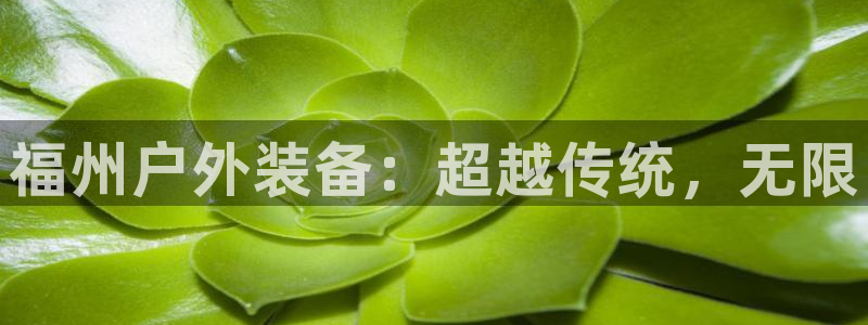 新宝gg登陆新