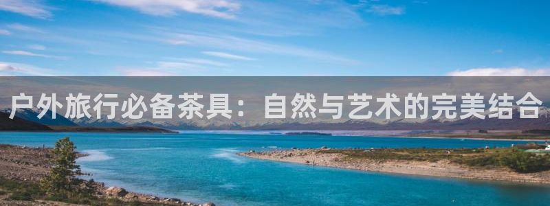 正版新宝gg