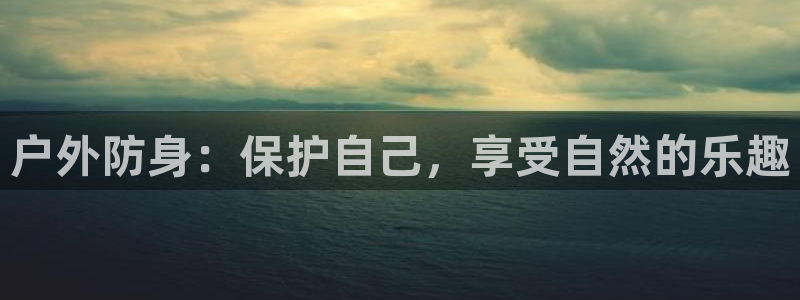 新宝gg网娱乐