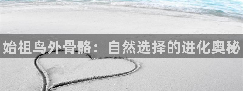 新宝GG娱