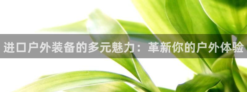 新宝gg正规
