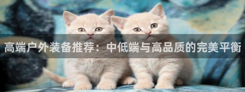 新宝gg cqdellar