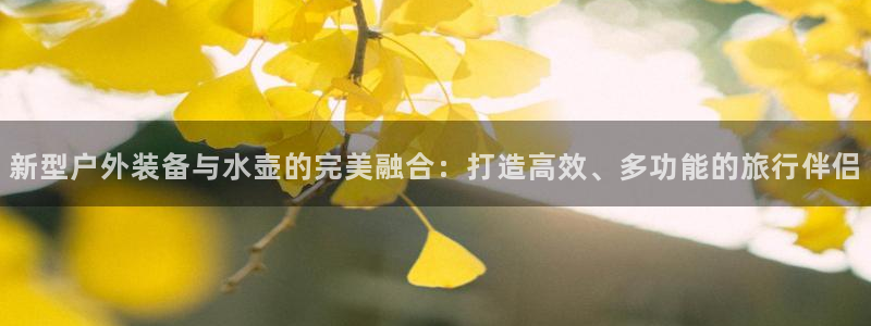 新宝gg开号