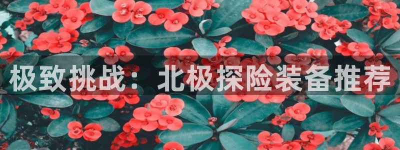 新宝gg注
