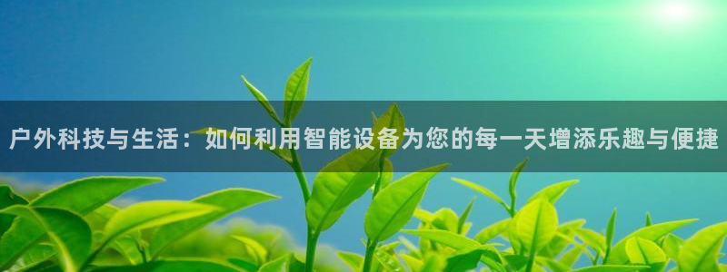 新宝gg平台怎么样