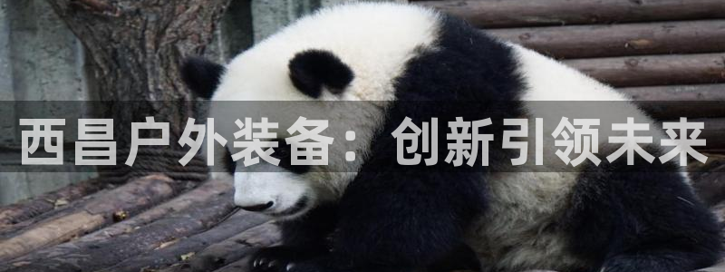 创造奇迹 新宝gg