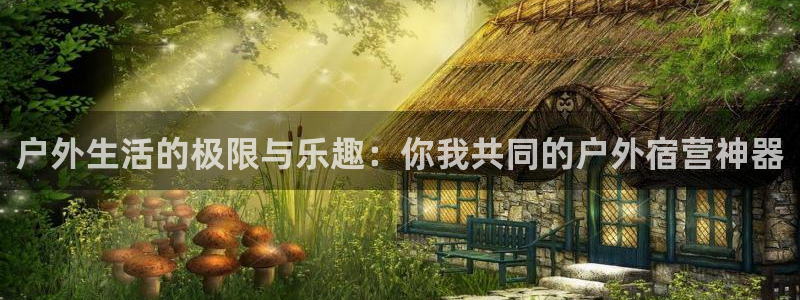 认准新宝gg
