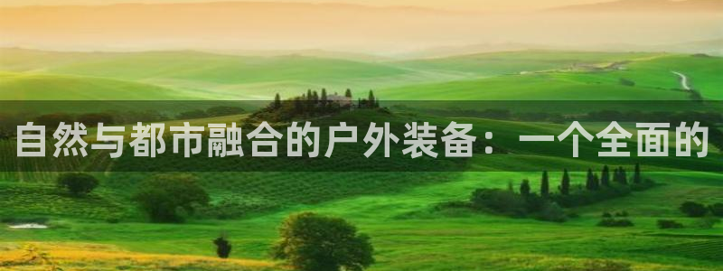 新宝gg黑平台