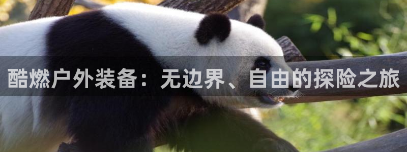 新宝gg主管花木兰