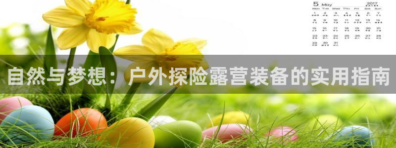 网站是新宝gg