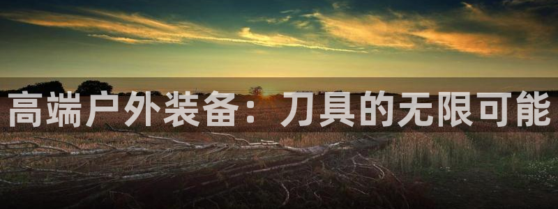新宝Gg测速地址