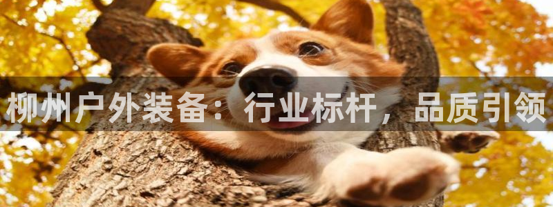 新宝gg投注