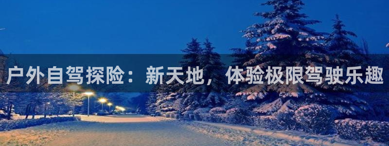 新宝gg重