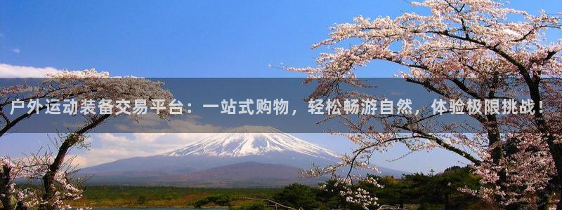 宝新gg