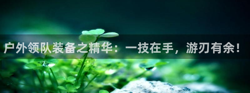 新宝GG的老板