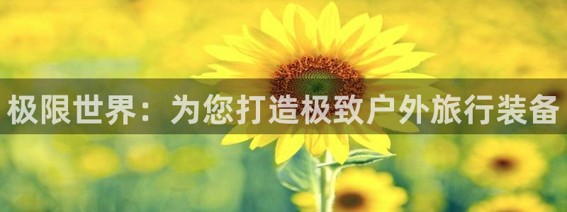 新宝gg网赚