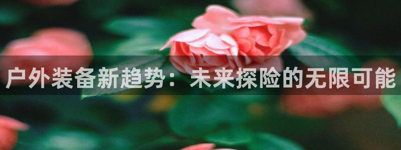 新宝gg申请账号