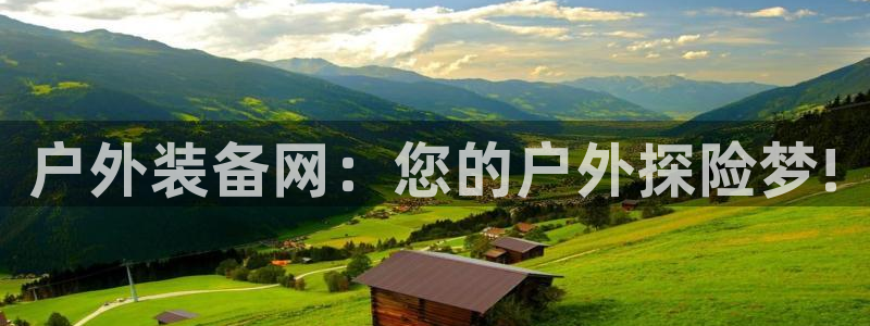 新宝gg返点模式