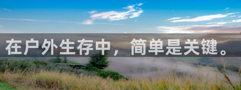 新宝GG电话