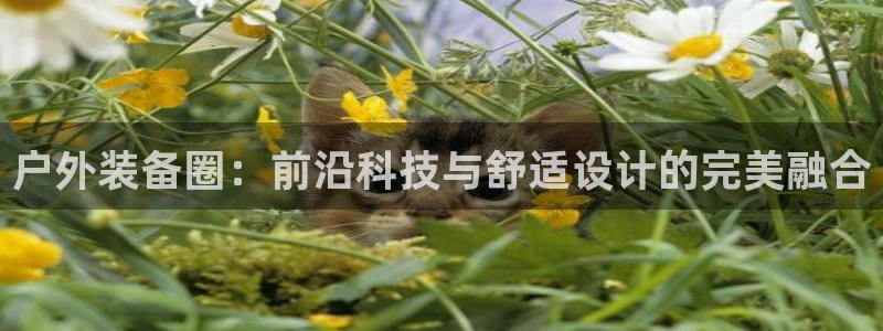 新gg官网_新宝GG创造奇迹