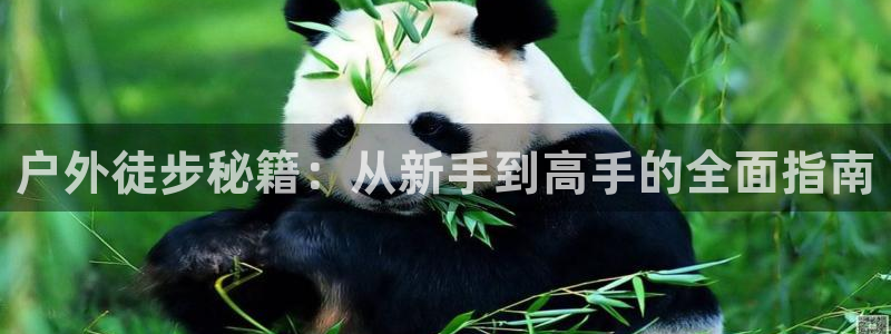 宝GG账78778新宝GG俪78778